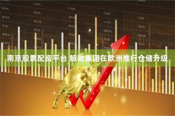 南京股票配资平台 鲸驰集团在欧洲推行仓储升级