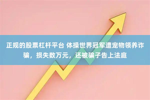 正规的股票杠杆平台 体操世界冠军遭宠物领养诈骗，损失数万元，还被骗子告上法庭